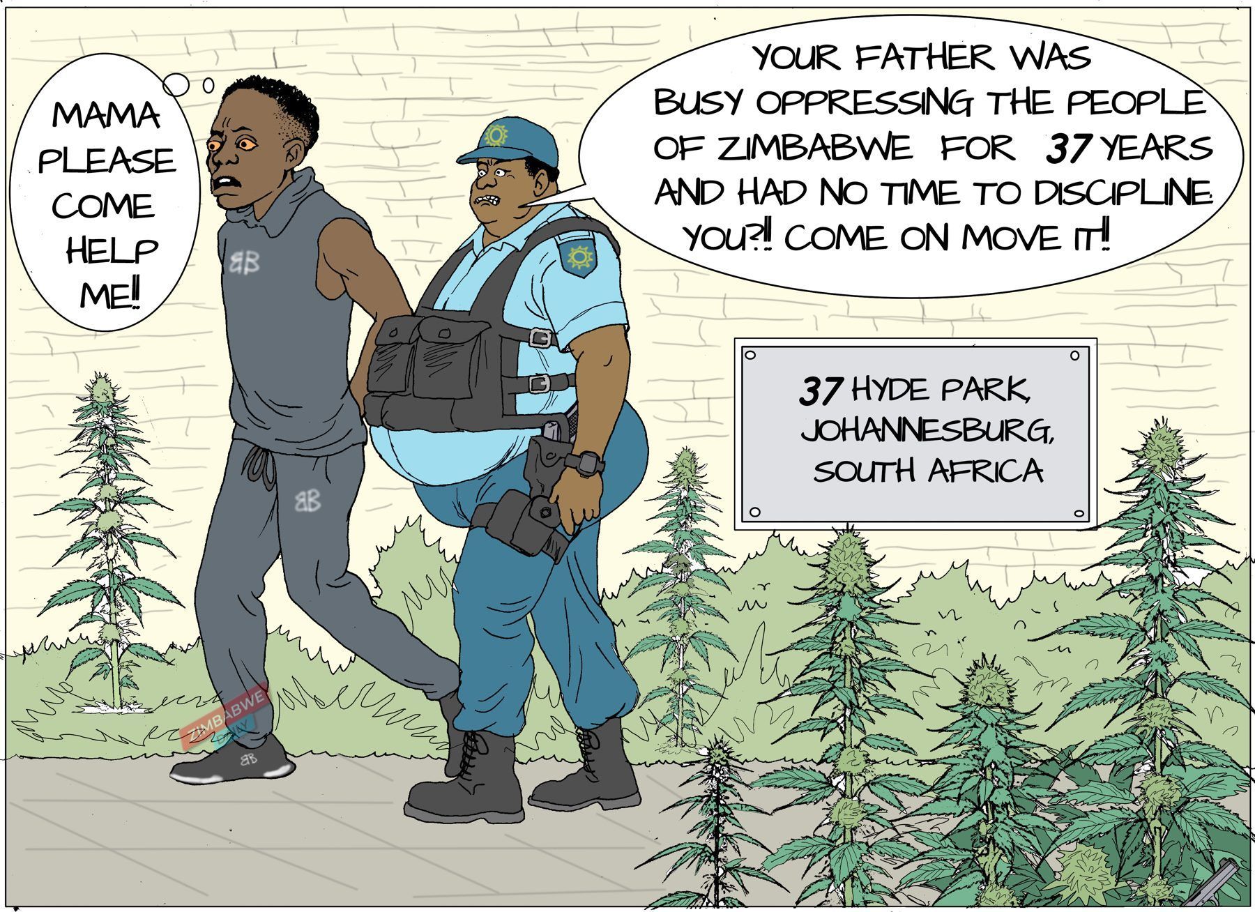 Cartoon of a South African police officer leading a handcuffed young man past a Hyde Park address sign